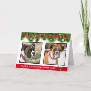 Personalized Christmas Card from the Dogs