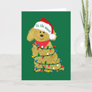 Personalized Christmas Lights Goldendoodle Holiday Card