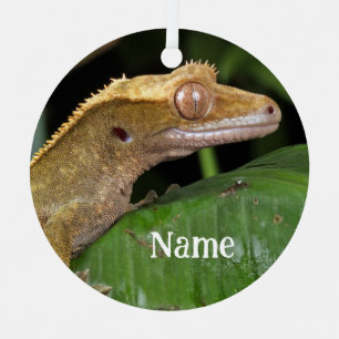 Personalized Crested Gecko Lizard Metal Tree Decoration