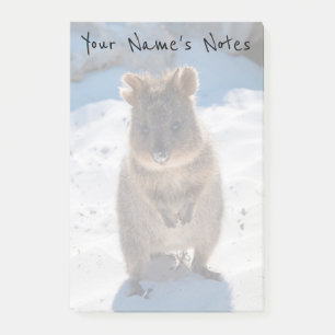 Personalized Cute & Happy Quokka on the Beach Post-it Notes