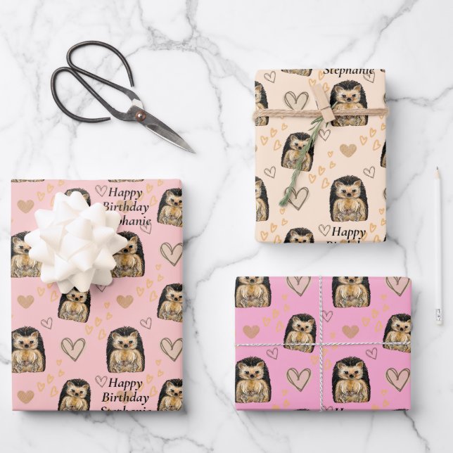 Personalized Cute Hedgehog Gift Wrapping Paper (Front)