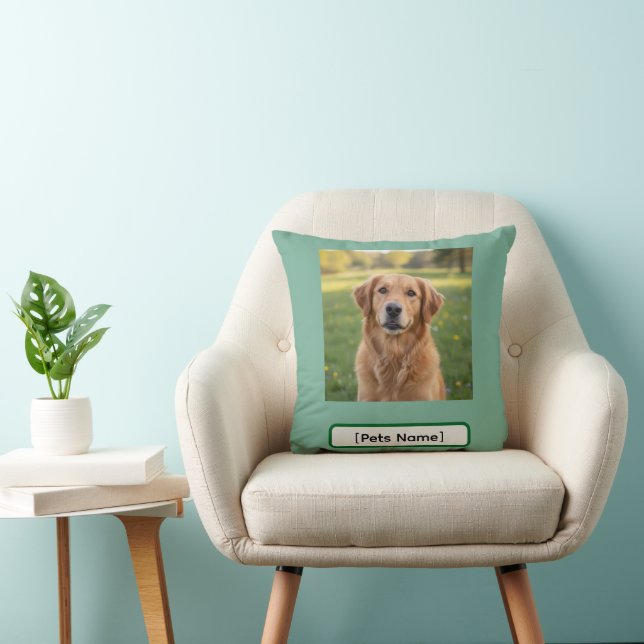 Personalized Dog & Cat Photo and Name Throw Pillow (Chair)