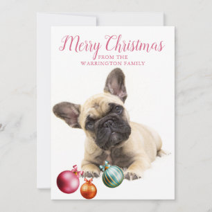 Personalized Dog Holiday   French Bulldog