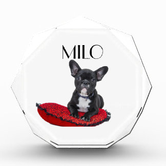 Personalized Dog  Photo Block