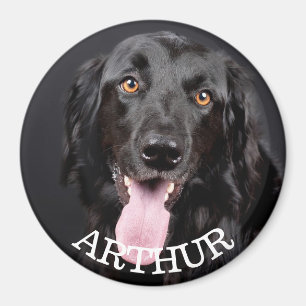 Personalized Dog Photo Refrigerator Magnet
