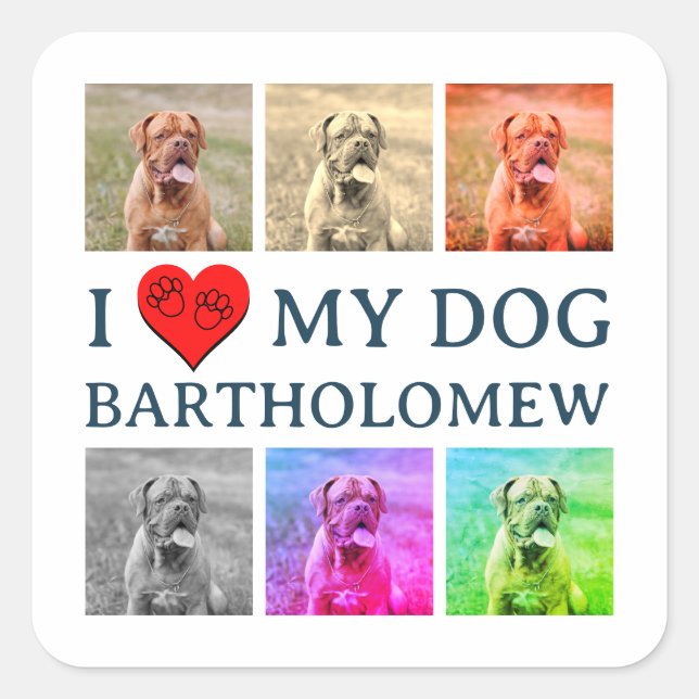 Personalized Dog Pop Art Pet Lover Gift Square Sticker (Front)