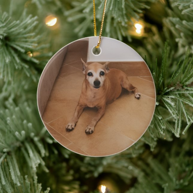 Personalized Name And Photo Pet Memorial Ceramic Ornament (Tree)