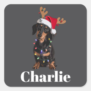 Personalized Name Christmas Dachshund Dog Lights Square Sticker