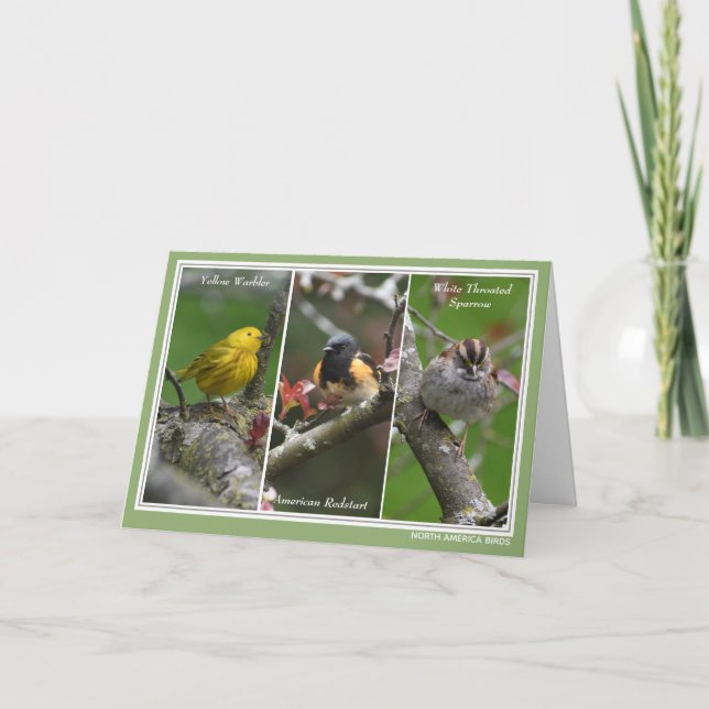 Personalized North America Birds Birthday Card (Front)
