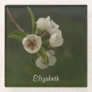 Personalized Pear Blossoms Photo Glass Coaster