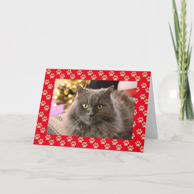 Personalized Pet Cat Meowy Christmas Card (Front)