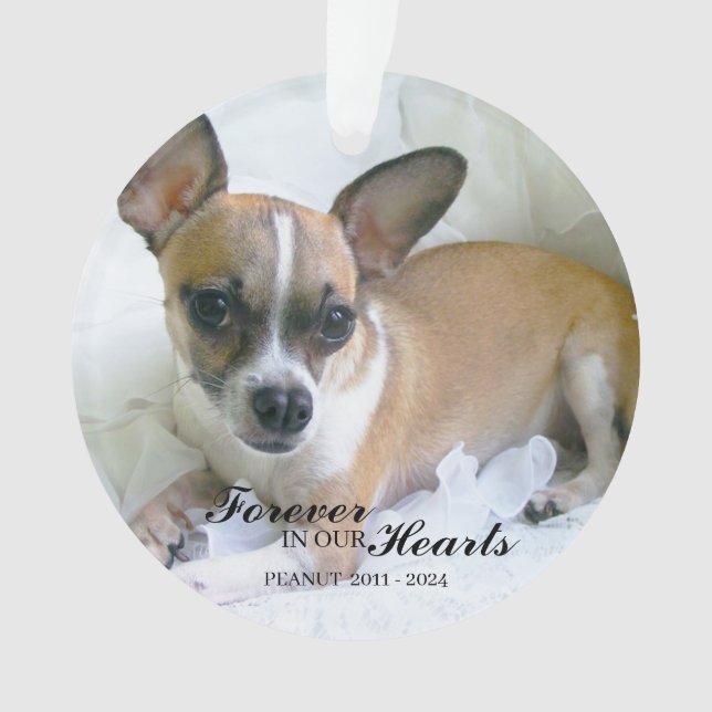 Personalized Pet Christmas Ornament (Front)