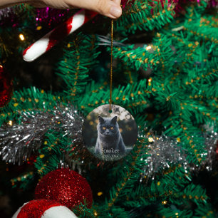 Personalized pet dog cat memorial custom ceramic ornament
