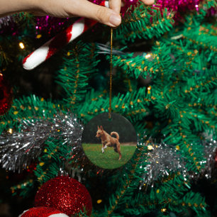 Personalized pet dog cat memorial custom ceramic ornament