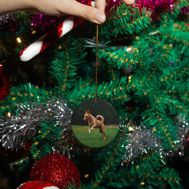 Personalized pet dog cat memorial custom ceramic ornament (Creator Uploaded)