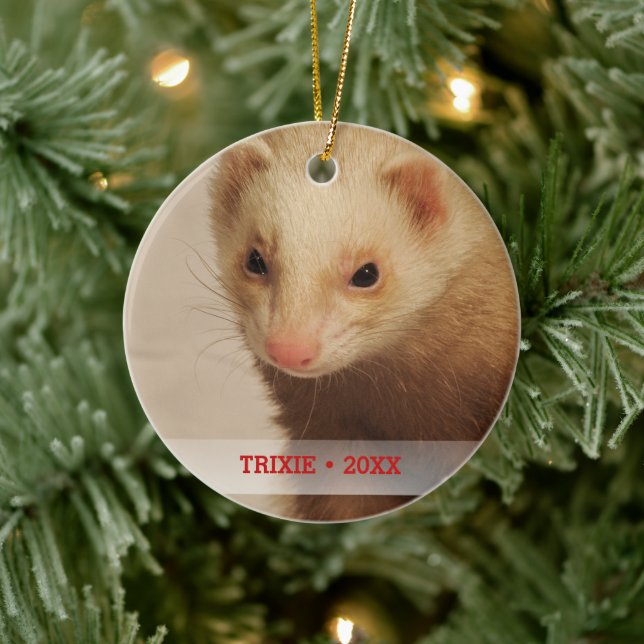 Personalized Pet Ferret Photo Name Christmas Tree Ceramic Ornament (Tree)