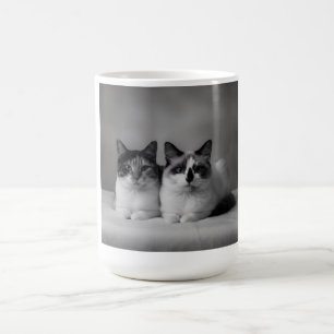 Personalized Pet Mug – High-Resolution Cat Photo