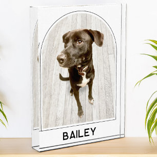 Personalized Pet Name Modern Arch Photo Block