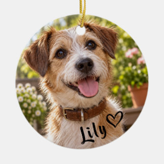 Personalized Pet Photo Acrylic Ceramic Ornament
