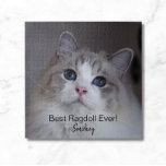 Personalized Pet Photo Best Ragdoll Cat Ever Jigsa Jigsaw Puzzle<br><div class="desc">This design features a beautiful blue-eyed Ragdoll cat photo and black typography. You can replace the photo with an image of your own cat or kitten. The sample text - Best Ragdoll Ever - can be edited to words of your own choice and a Name can also be provided. The...</div>