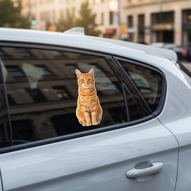 Personalized Pet Photo Car Window Sticker (Your Cat's Face, Your Car's New Decal.)