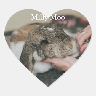  Personalized Pet Photo  Heart Sticker