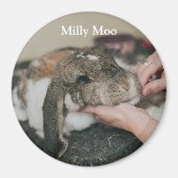  Personalized Pet Photo