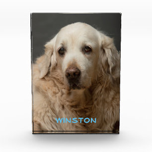 Personalized Pet Photo & Name Block