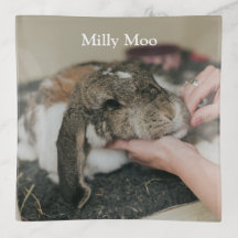 Personalized Pet Photo