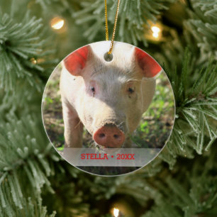 Personalized Pet Pig Photo & Name Christmas Tree Ceramic Tree Decoration