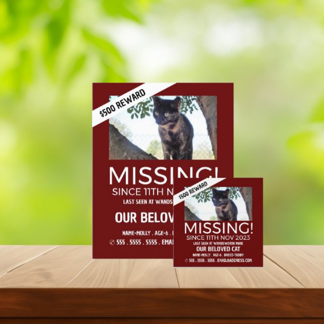 Personalized Photograph, Missing, Lost Pet Cards (Creator Uploaded)