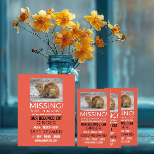Personalized Photograph, Missing, Lost Pet Cards