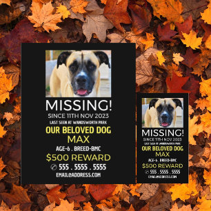 Personalized Photograph, Missing, Lost Pet Flyer