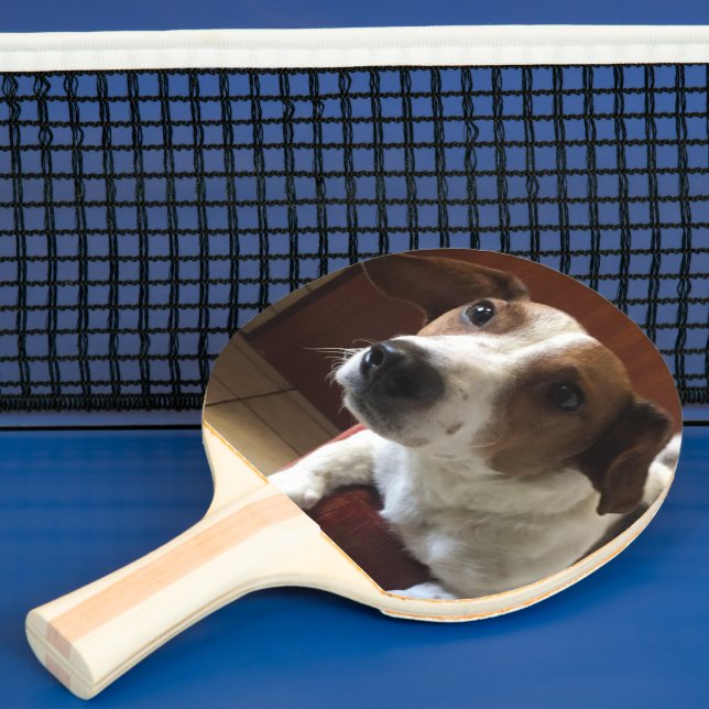 personalized ping pong paddle (Insitu)