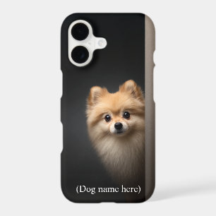 Personalized Pomeranian Portrait