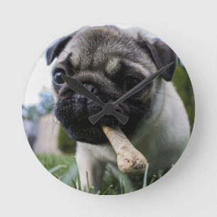 Personalized Pug Dog Photo and Name Round Clock