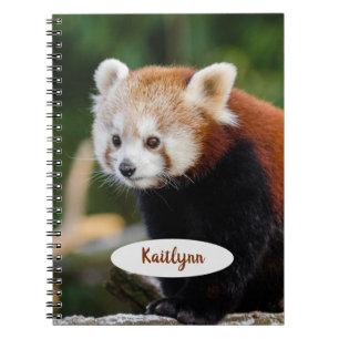 Personalized Red Panda Notebook
