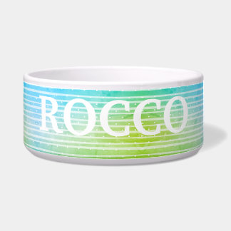 Personalized refreshing blue green Pet Bowl