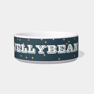 Personalized Retro Pet Bowl: Bright and Fun Bowl