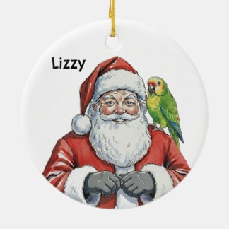 Personalized Santa with Amazon Parrot Ceramic Ornament