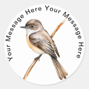 Personalized SongBird Stickers Eastern Phoebe 