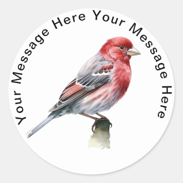 Personalized SongBird Stickers House Finch (Front)