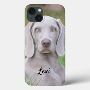 Personalized Weimaraner Puppy Dog iPhone 13 Case