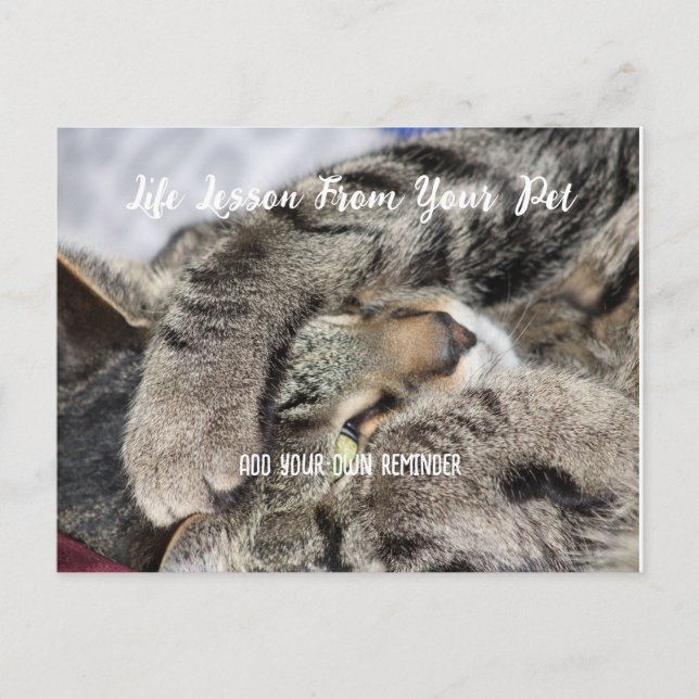 Personalzied Pet Life Lesson  Holiday Postcard (Front)