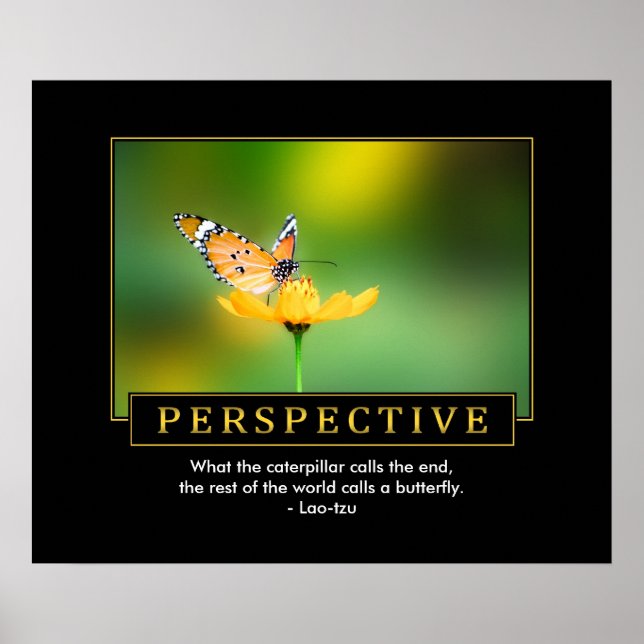 Perspective Inspirational Poster (Front)
