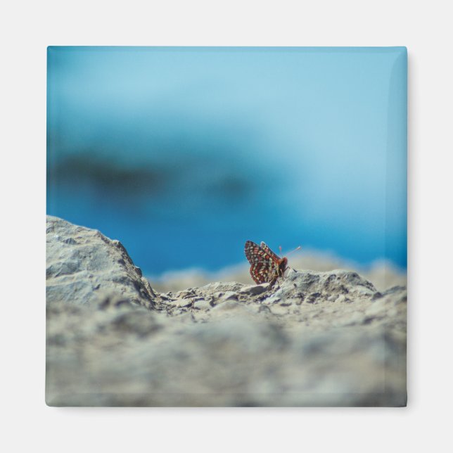 Perspective Magnet (Front)