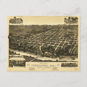 Perspective Map of Tuskaloosa Alabama (1887) Postcard