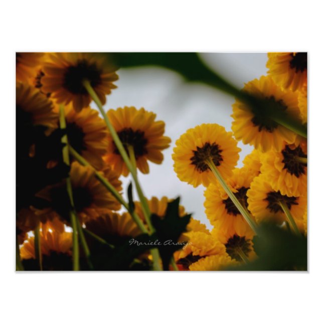 Perspective Photo Print (Front)