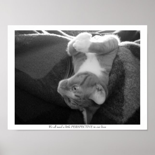 Perspective Poster (Front)