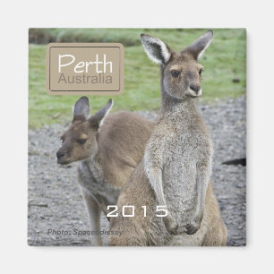 Perth Australia Kangaroo Fridge Magnet Change Year